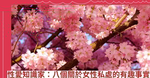 性愛知識家：八個關於女性私處的有趣事實