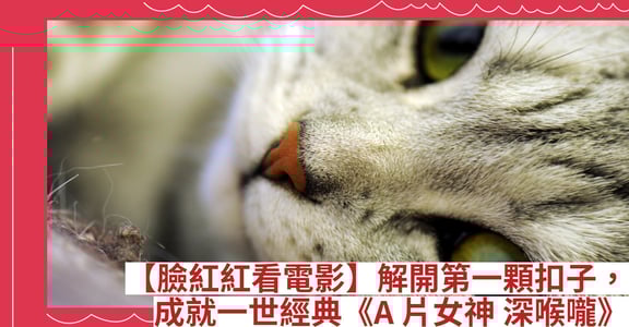 【臉紅紅看電影】解開第一顆扣子，成就一世經典《A片女神 深喉嚨》
