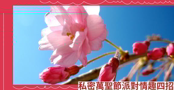 私密萬聖節派對情趣四招