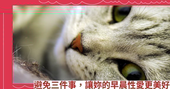 避免三件事，讓妳的早晨性愛更美好