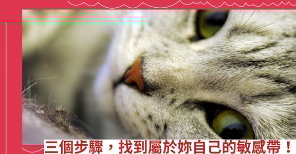 三個步驟，找到屬於妳自己的敏感帶！