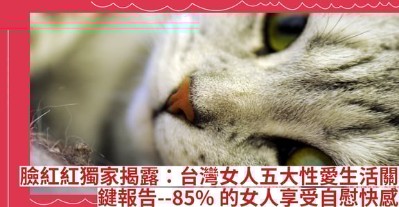 臉紅紅獨家揭露：台灣女人五大性愛生活關鍵報告--85%的女人享受自慰快感