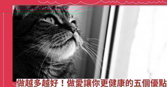 做越多越好！做愛讓你更健康的五個優點
