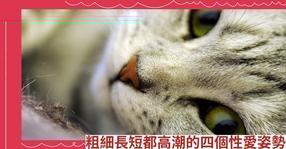 粗細長短都高潮的四個性愛姿勢