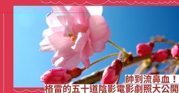 帥到流鼻血！格雷的五十道陰影電影劇照大公開