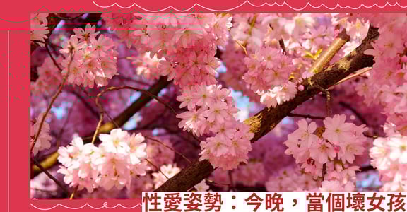性愛姿勢：今晚，當個壞女孩