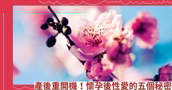 產後重開機！懷孕後性愛的五個秘密