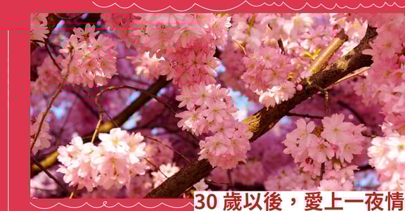 30歲以後，愛上一夜情