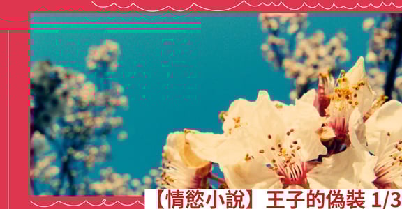 【情慾小說】王子的偽裝 1/3