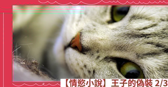 【情慾小說】王子的偽裝 2/3