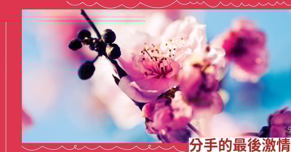 分手的最後激情