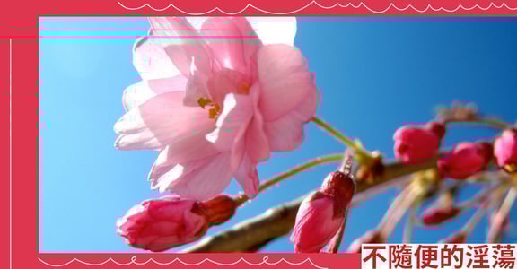 不隨便的淫蕩