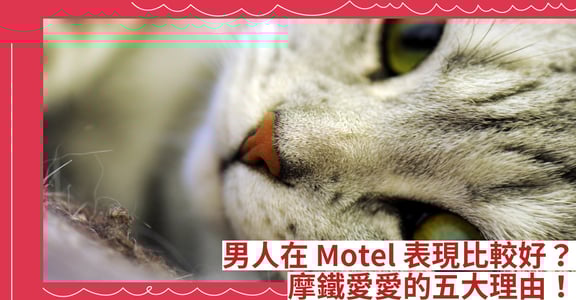 男人在 Motel 表現比較好？摩鐵愛愛的五大理由！