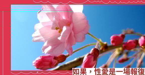 如果，性愛是一場報復