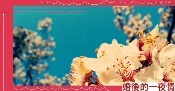 婚後的一夜情