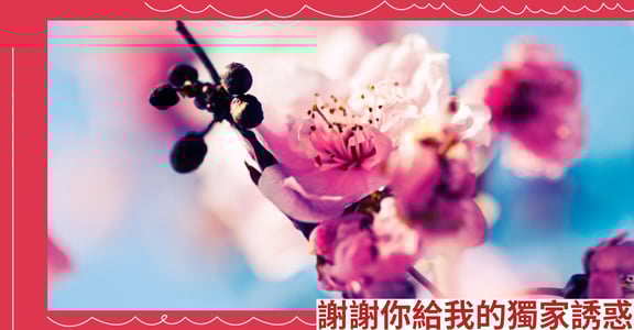 謝謝你給我的獨家誘惑