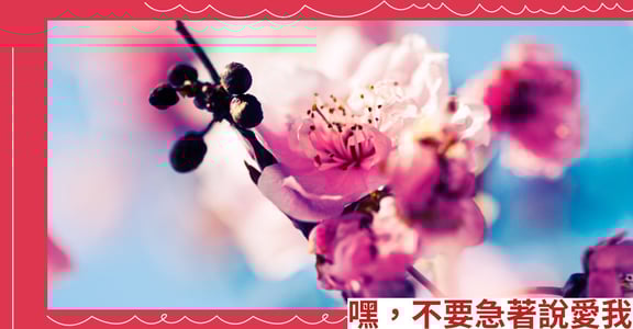 嘿，不要急著說愛我