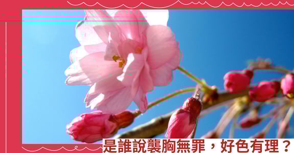 是誰說襲胸無罪，好色有理？