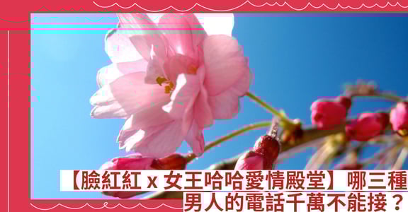 【臉紅紅 x 女王哈哈愛情殿堂】哪三種男人的電話千萬不能接？