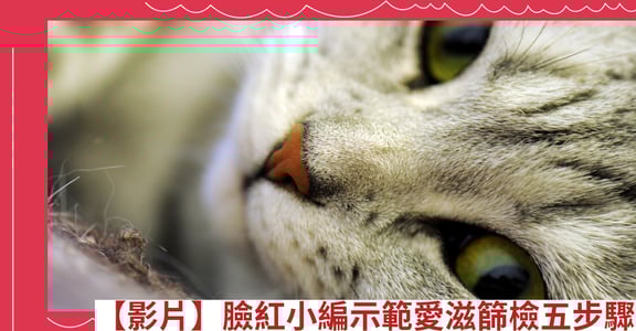 【影片】臉紅小編示範愛滋篩檢五步驟