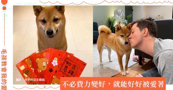 杰宇的法文邂逅｜柴犬教會我的愛情：就像小王子遇上狐狸，讓我明白愛不必費力