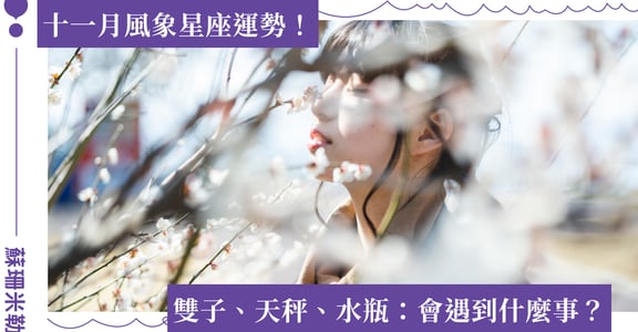 【蘇珊米勒】2022 雙子、天秤、水瓶：風象星座十一月運勢