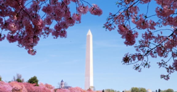 文青遊DC！在地人帶你玩瘋華盛頓