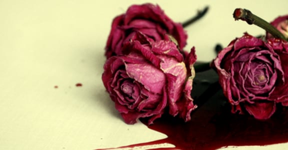 女孩與紅玫瑰的故事：流過的眼淚會串成女人味