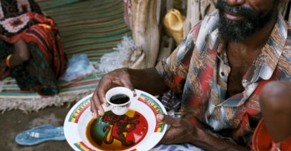 《咖啡癮史》：奴隸墳上長出咖啡！讓人傷心的咖啡源頭