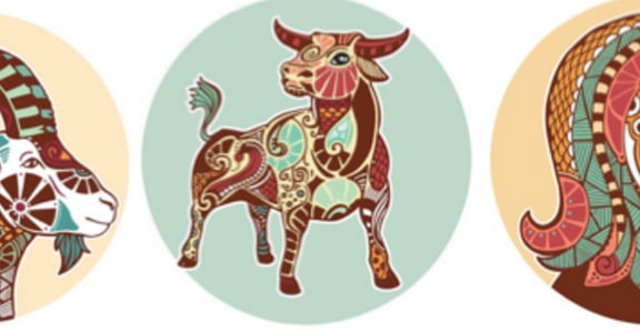 【蘇珊米勒星座專欄】摩羯、金牛、處女：土象星座的五月運勢