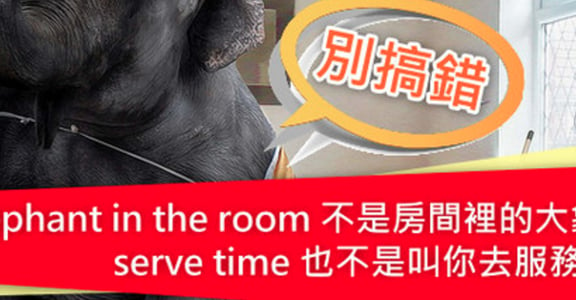 CNN 教你四個日常英文片語！「elephant in the room 」不是大象在房間裡