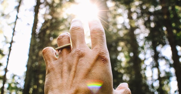 給失戀者與濫情者的書單：終有一天，我們都會好起來