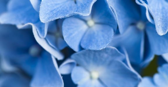 【讓顏色說話】天空、海洋、宇宙：藍色是最療癒的顏色