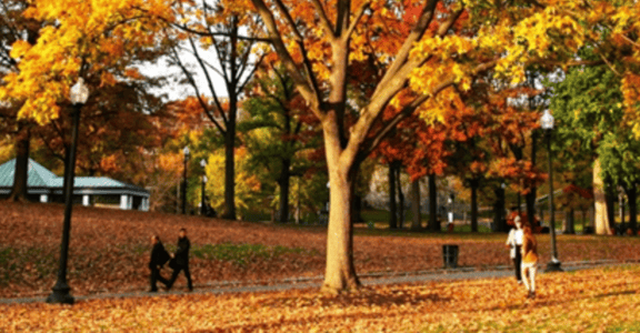 波士頓的秋天尾聲：橘色是最溫暖的顏色