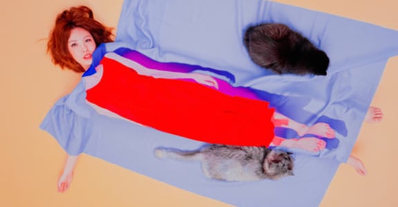【單身日記】你可以豢養我，但無法馴服我的驕傲