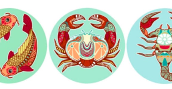 【蘇珊米勒星座專欄】雙魚、巨蟹、天蠍：水象星座二月運勢