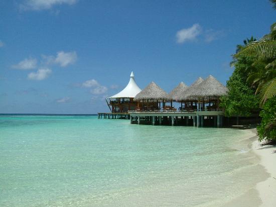 馬爾代夫巴洛斯度假村 的照片 - 度假村照片