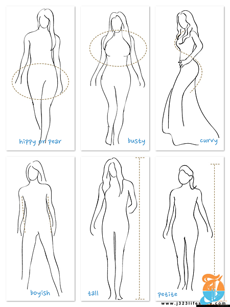 body types.png