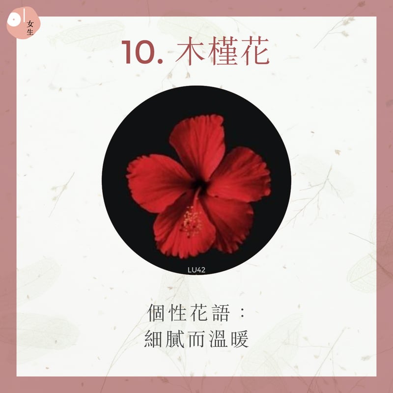 10.木槿花