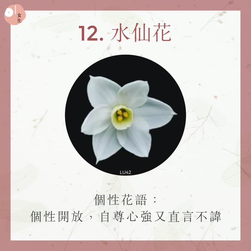 12.水仙花
