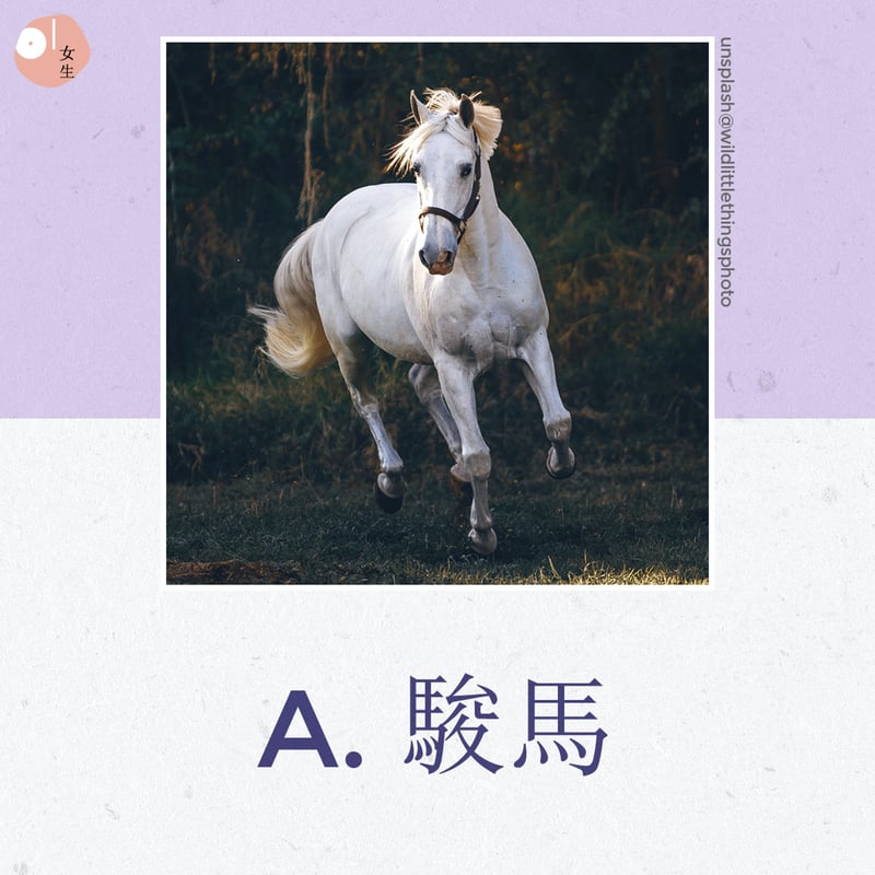Ａ：駿馬