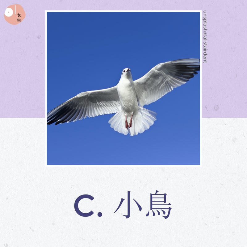 Ｃ：小鳥