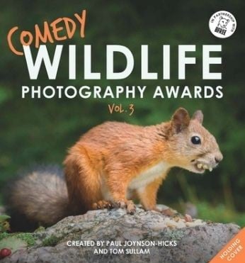 搞笑野生動物攝影獎