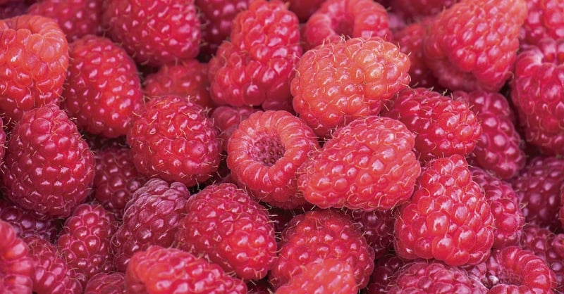 覆盆莓