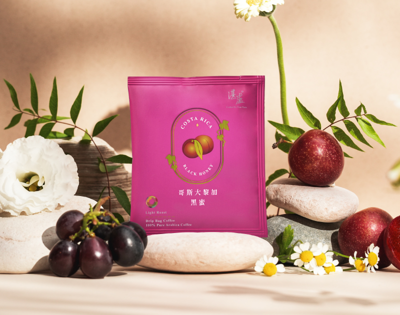 湛盧哥斯大黎加