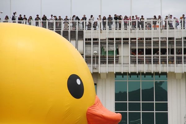 Rubber Duck、黃色小鴨、香港、Hong Kong