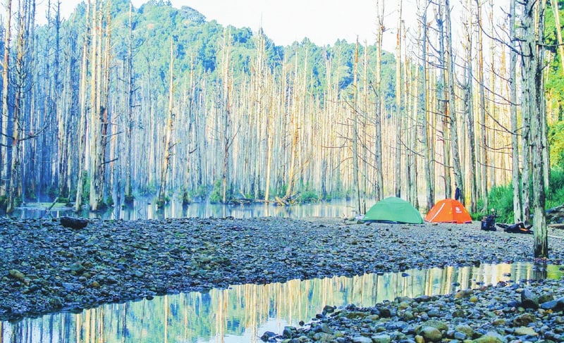 在海拔1800公尺的水漾森林「包場」露營，是一生難忘的經驗。