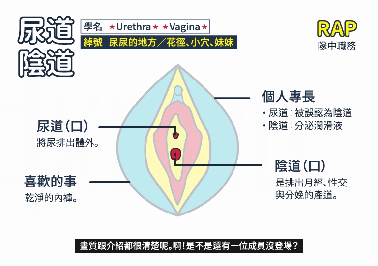 圖輯 陰部重新出道計畫 你看過自己的私密處嗎 女人迷womany 圖輯 陰部重新出道計畫 你看過自己的私密處嗎 女人迷womany