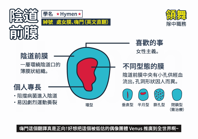圖輯 陰部重新出道計畫 你看過自己的私密處嗎 女人迷womany 圖輯 陰部重新出道計畫 你看過自己的私密處嗎 女人迷womany