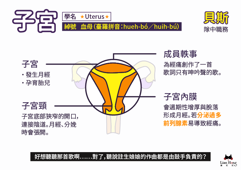 圖輯 陰道 子宮 卵巢 12 張圖搞懂女性內生殖系統 性別力gender Power